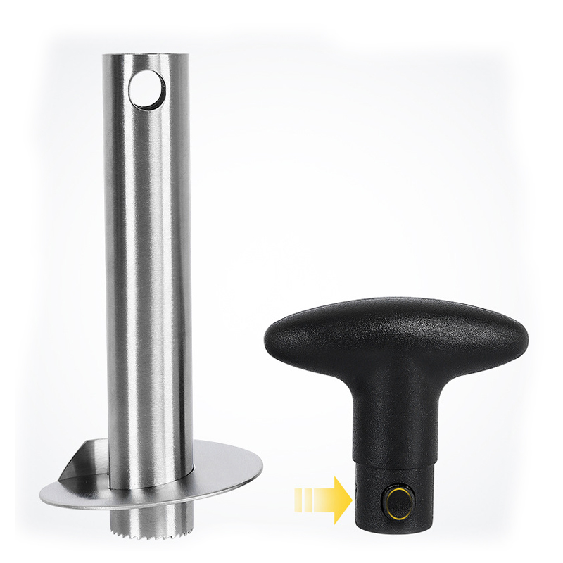 1Pc In Acciaio Inox Facile da  - Pineapple Corer Slicer recensione e prezzo