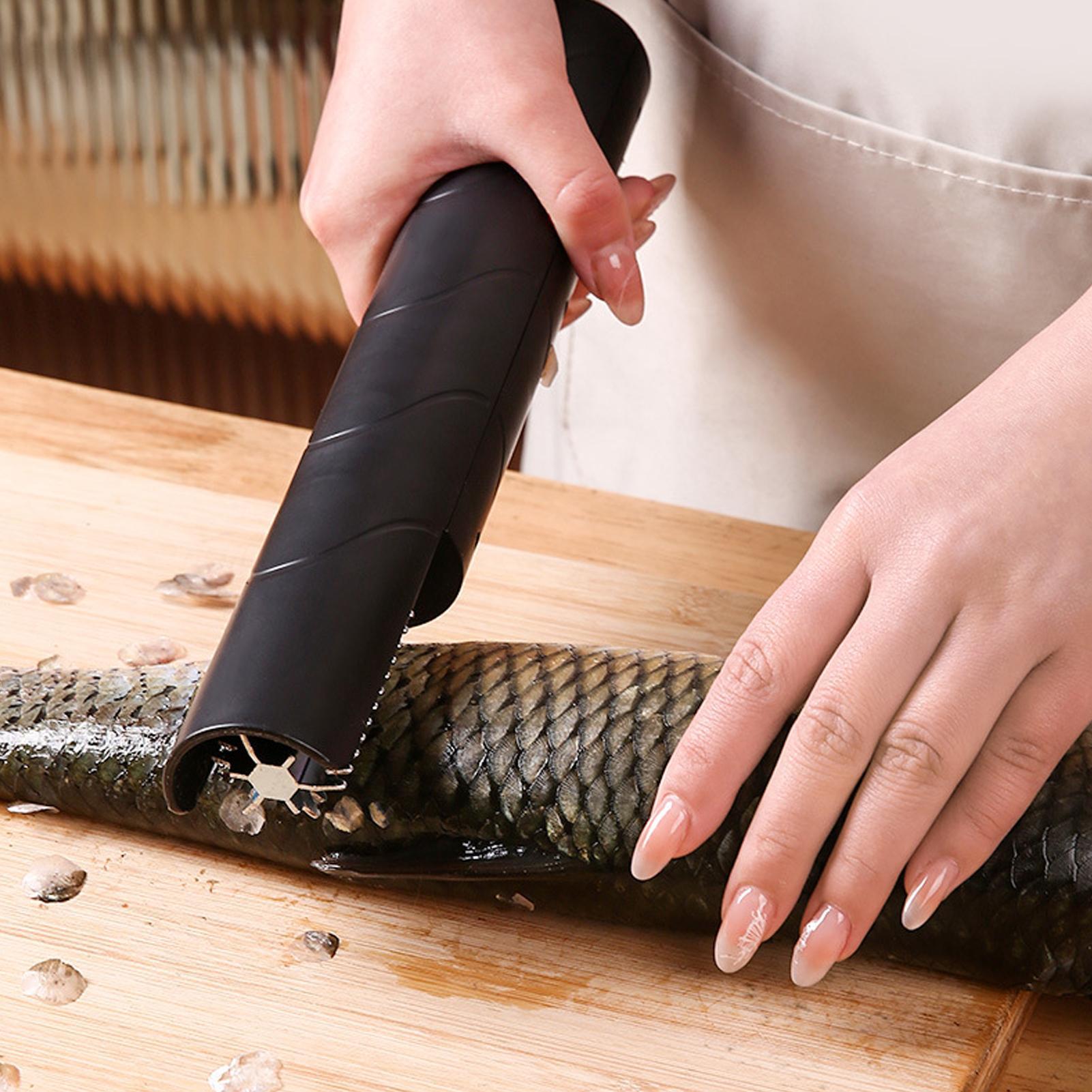 Squamatrice per pesce portatil - Meal Prep Restaurant recensione e prezzo