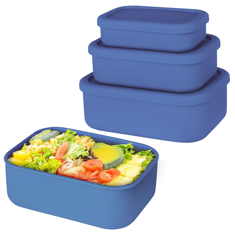 Bento Lunch Box resistente all - Meal Preparation recensione e prezzo