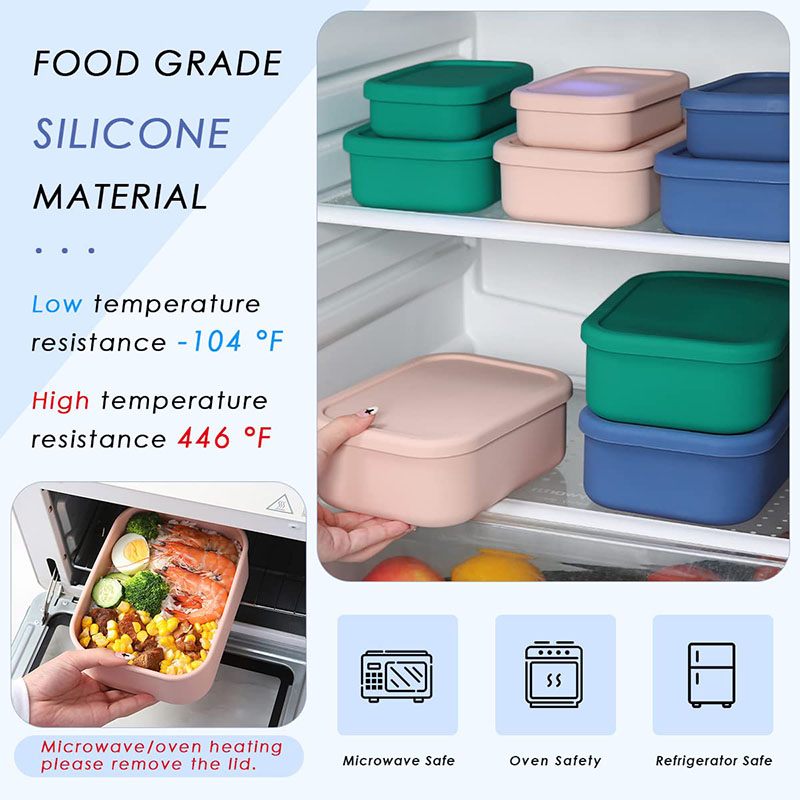 Bento Lunch Box resistente all - Meal Preparation recensione e prezzo